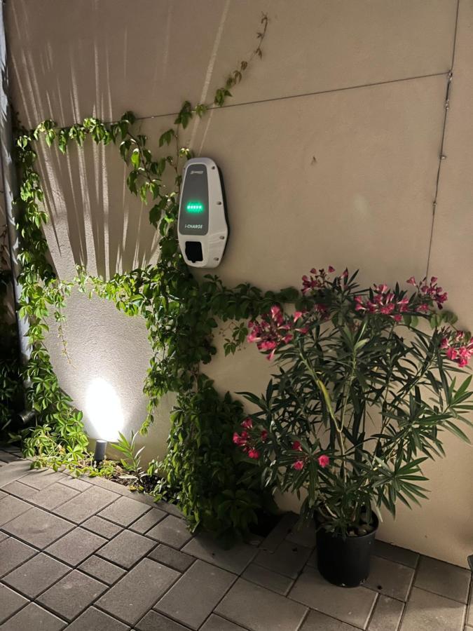Apartman Festini Pag Pag Town Exteriör bild