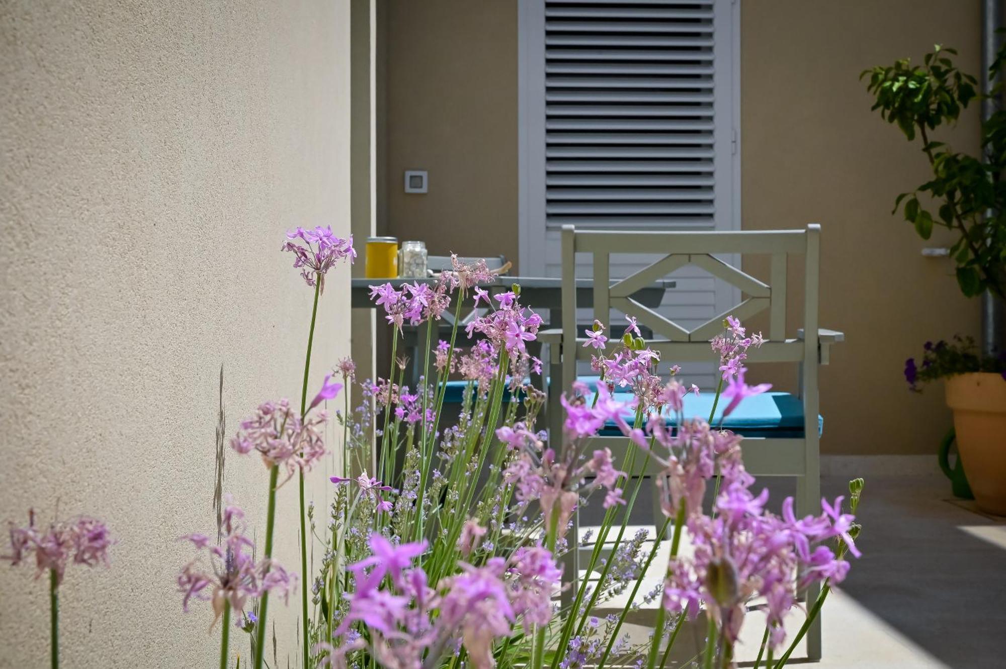 Apartman Festini Pag Pag Town Exteriör bild